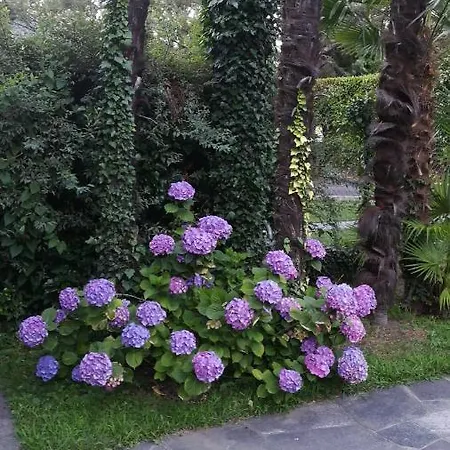 Margherita With Pool & Hydromassage 3*